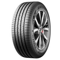 225/55/17 101V Antares Ingens EV